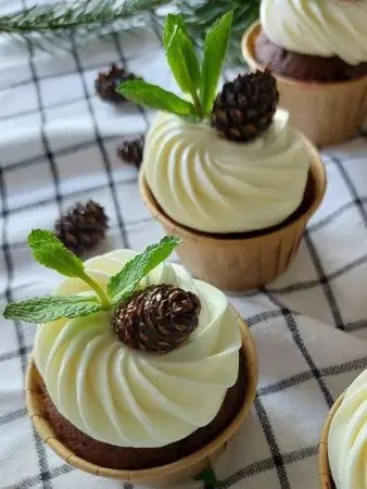 Цукаты из сосновых шишек с лимоном и мятой, 150 гр